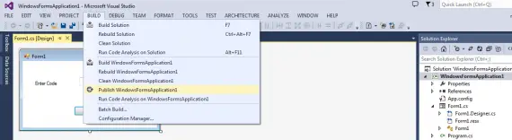 Visual Studio publish 