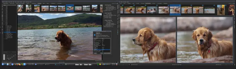 best free photo organizers for windows 10 best free photo organizers for windows 10