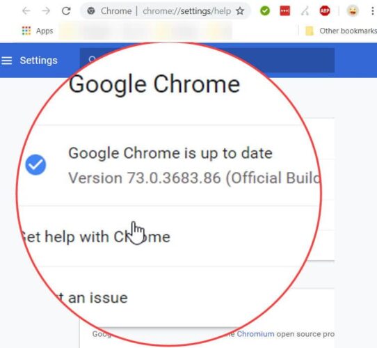Google Chrome version check