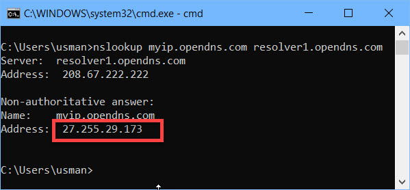 nslookup external ip address