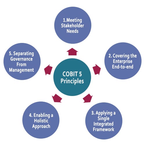 COBIT principles