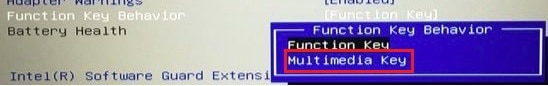 How to Change Fn Key Settings In Windows 10 2 bios fn options