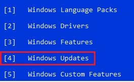 select windows updates