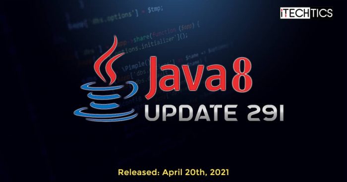 Java 8 Update 291