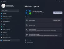 How To Run Windows Update In Windows 11