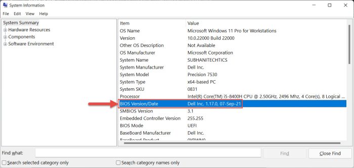 bios version