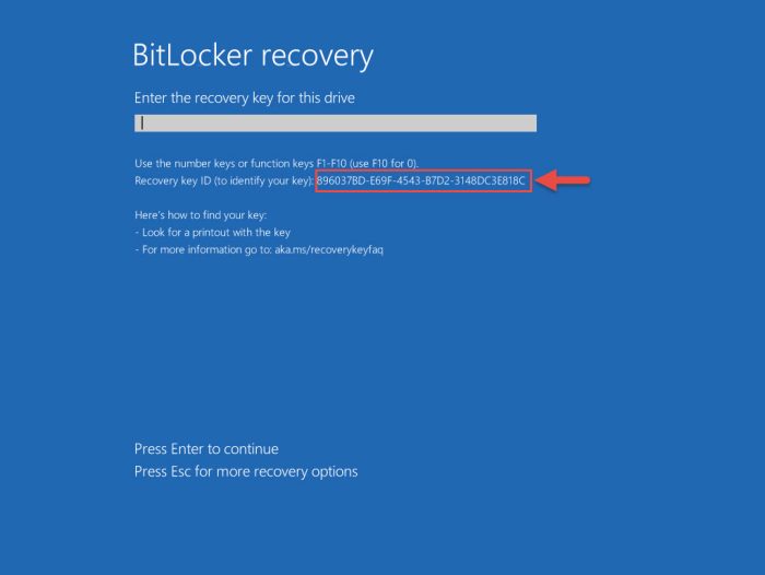 What Is BitLocker Recovery Key and How to Find It 9 bitlocker identifier