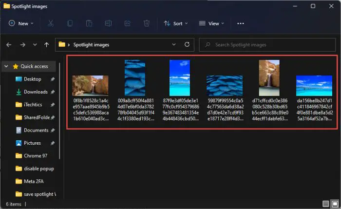 How to Save Spotlight Collection Images on Windows 11 5 Spotlight images saved successfully