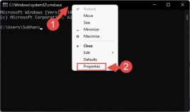 How To Fix CTRL C Not Working In Windows