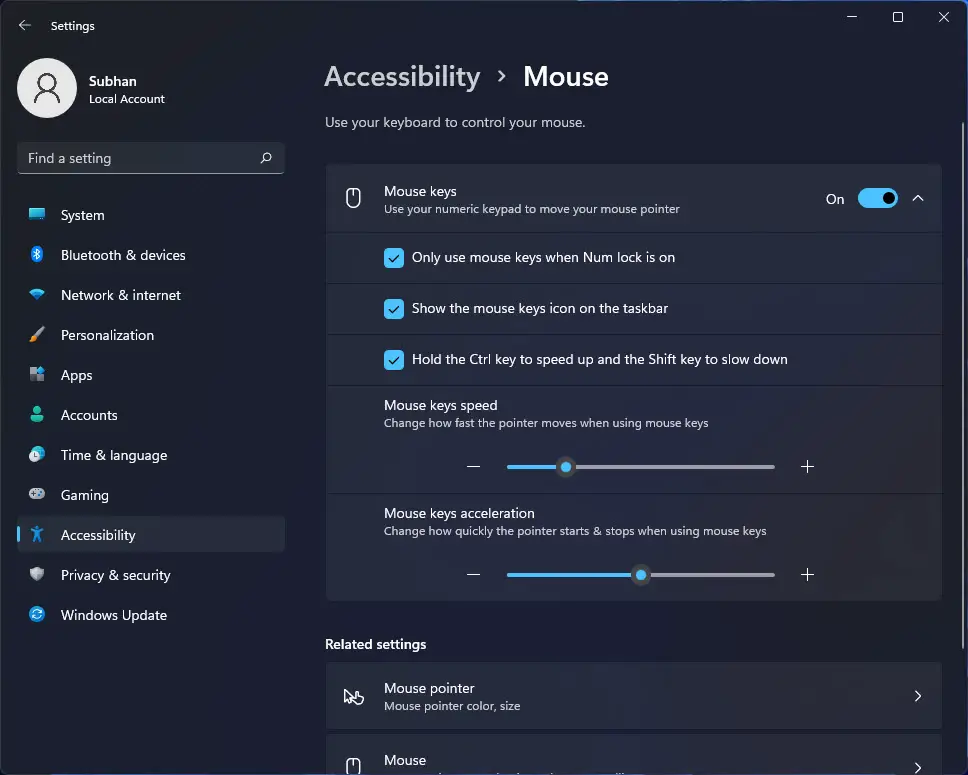 How To Make Windows 11 Accessible (Ease Of Access)