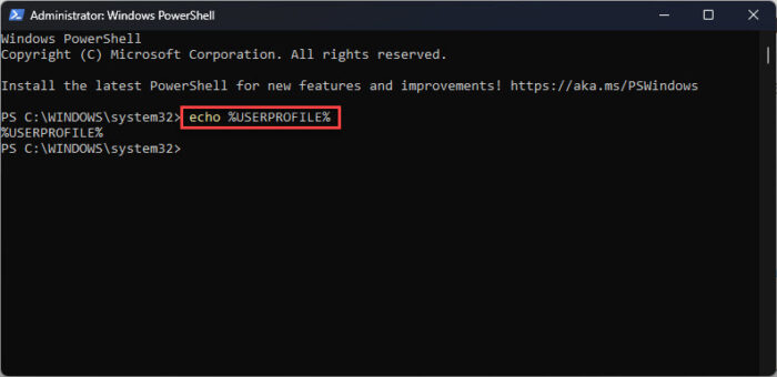 Display environment variable value