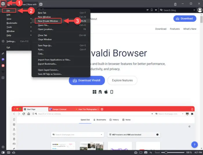 Open new private window in Vivaldi