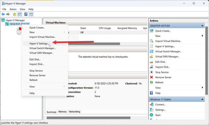 Hyper V Host Machine Settings