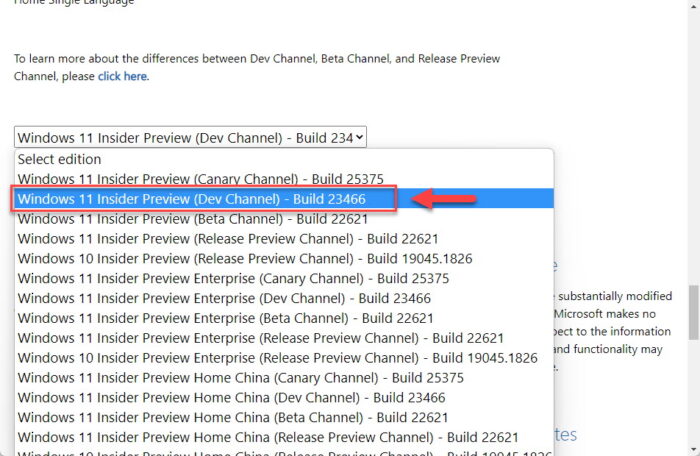 Select Windows 11 Insider Preview Build 23466 Dev