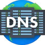 dns propagation checker